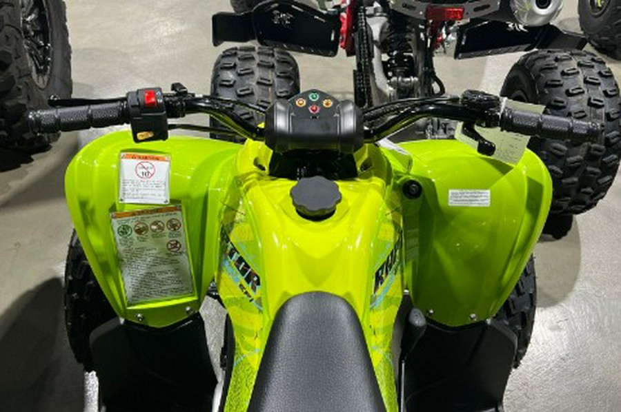 2026 Yamaha Raptor 110