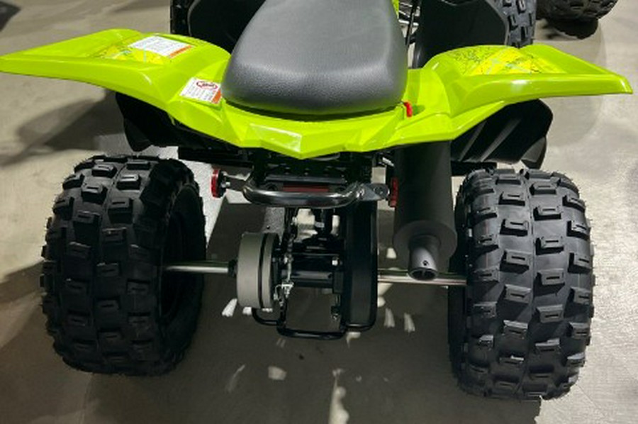 2026 Yamaha Raptor 110
