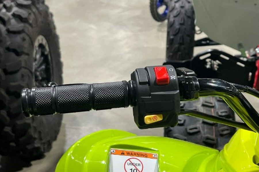 2026 Yamaha Raptor 110