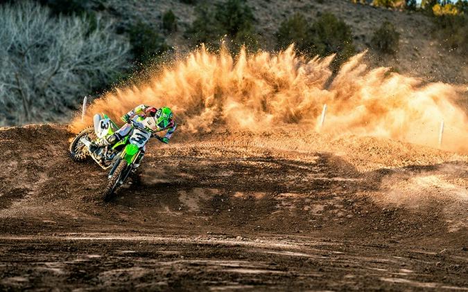 2019 Kawasaki KX 450