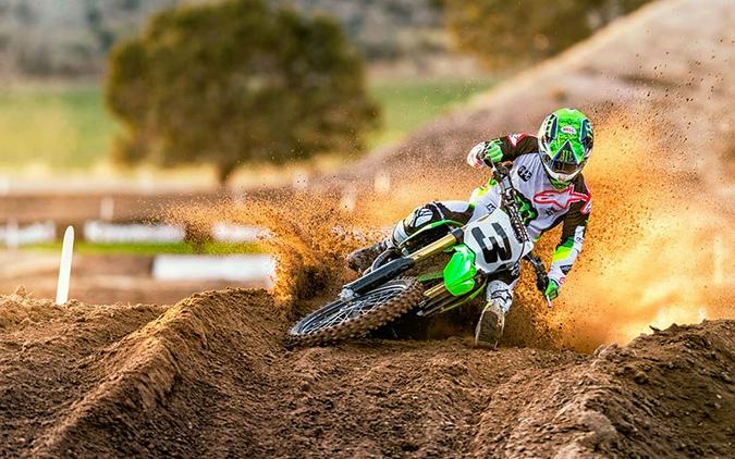 2019 Kawasaki KX 450