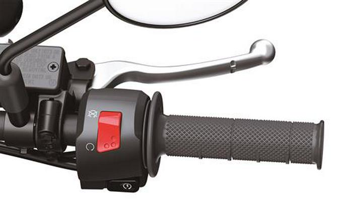 2024 Kawasaki KLX 230SM ABS