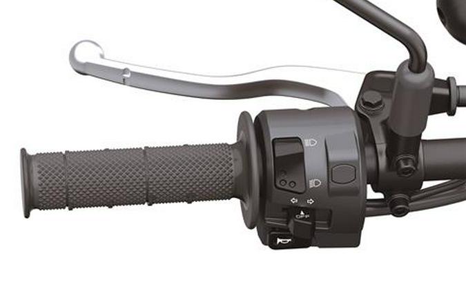 2024 Kawasaki KLX 230SM ABS