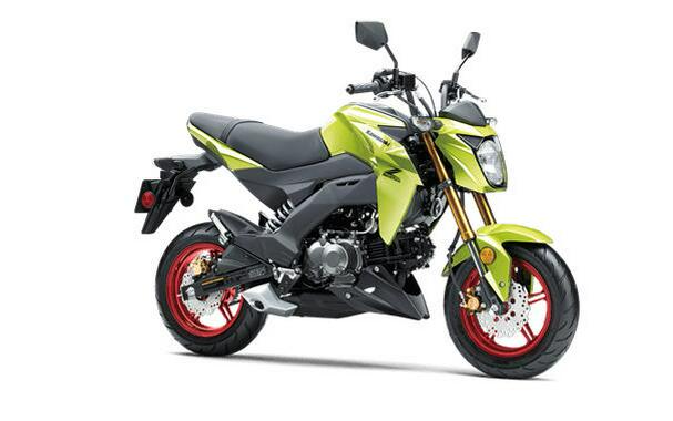 2026 Kawasaki Z125 PRO