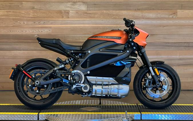 2020 Harley-Davidson LiveWire First Ride