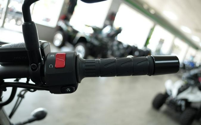2026 Kawasaki Vulcan® S
