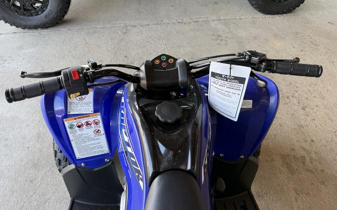 2026 Yamaha Raptor 110