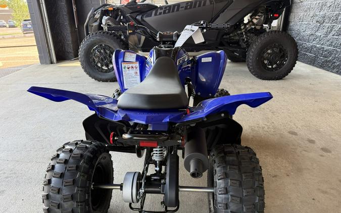 2026 Yamaha Raptor 110