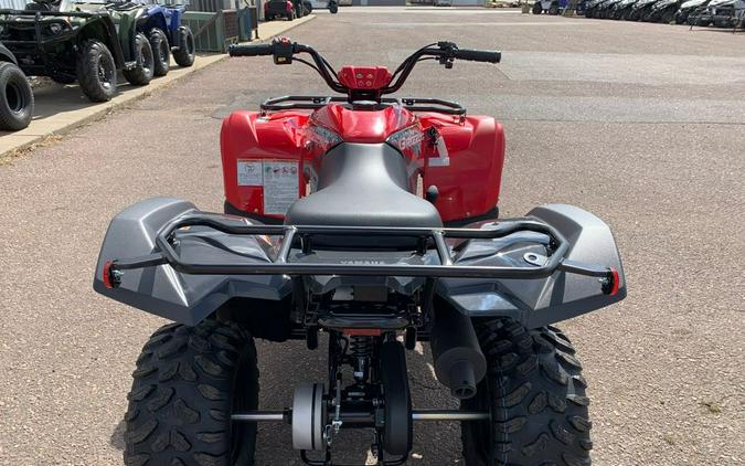 2025 Yamaha Grizzly 110 EFI