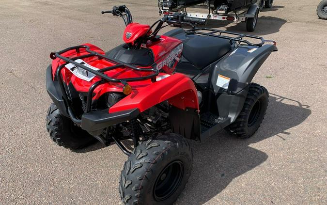 2025 Yamaha Grizzly 110 EFI