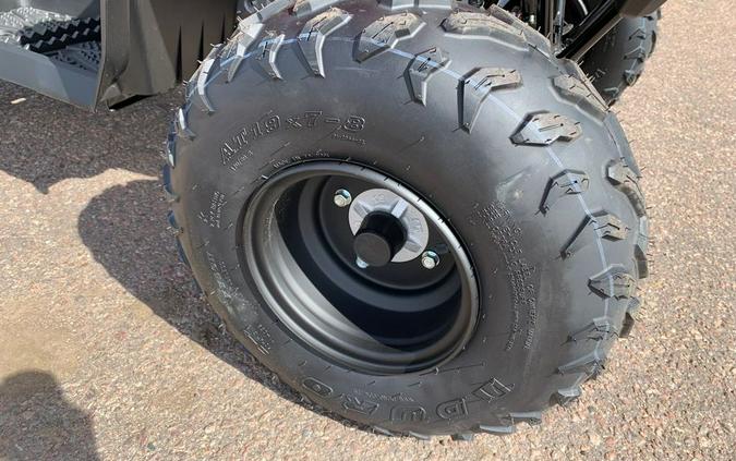 2025 Yamaha Grizzly 110 EFI