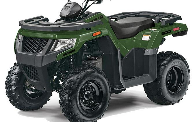 2026 Arctic Cat Off Road Alterra 300 2x4