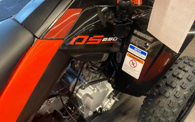 2024 Can-Am® DS 250