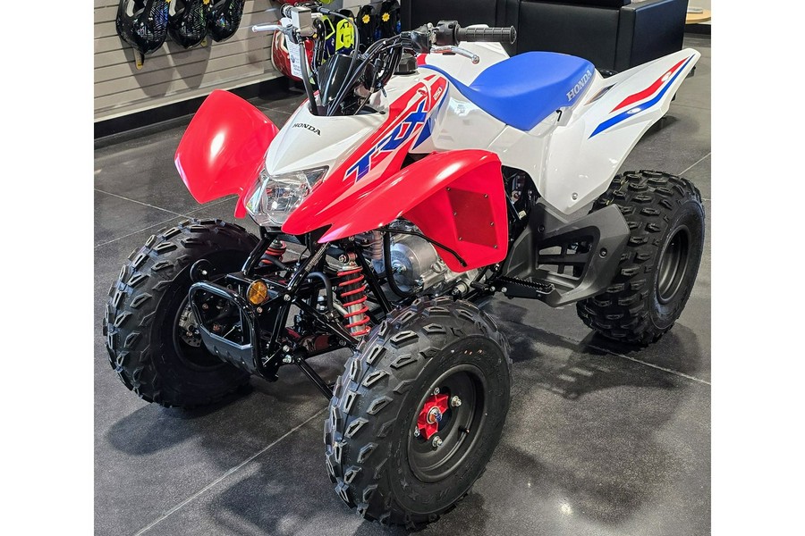 2026 Honda TRX250X