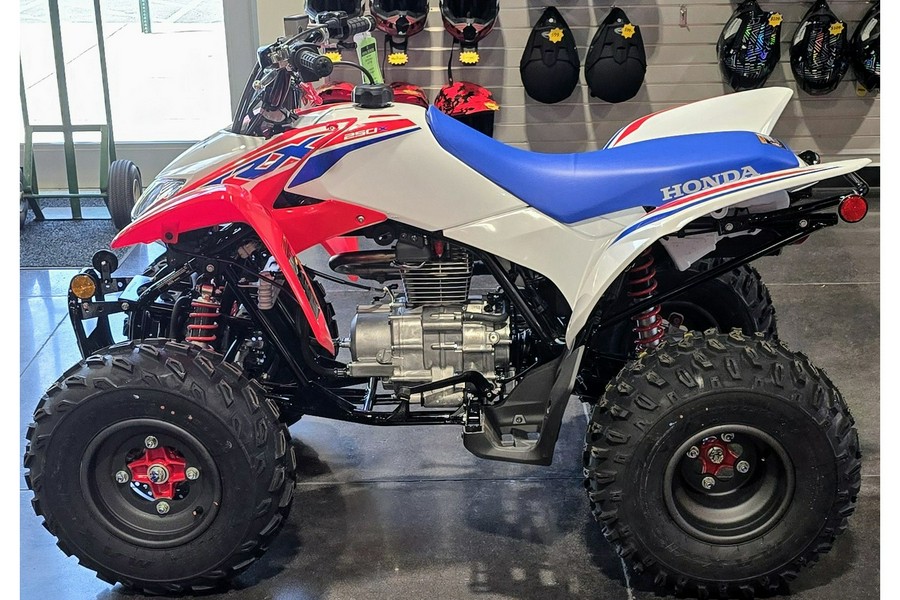 2026 Honda TRX250X
