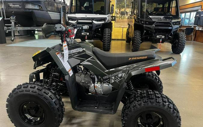 2026 Denago EV Trailhawk 10FI