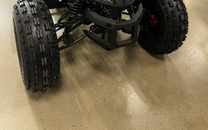 2026 Denago EV Trailhawk 10FI