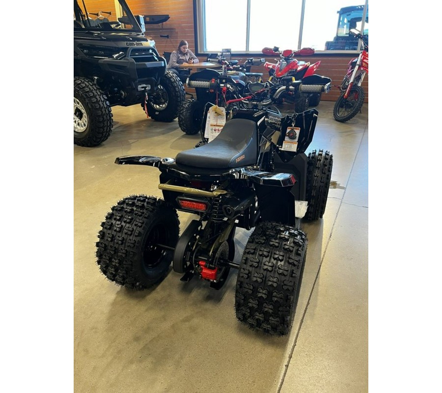 2026 Denago EV Trailhawk 10FI