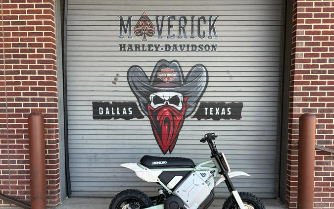 2026 LiveWire S4 Honcho Trail