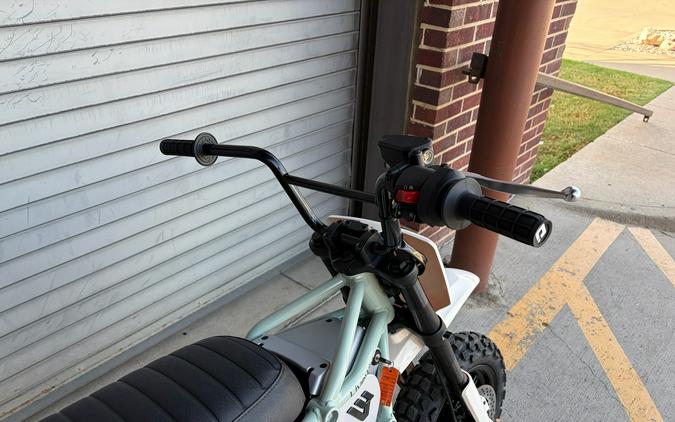 2026 LiveWire S4 Honcho Trail