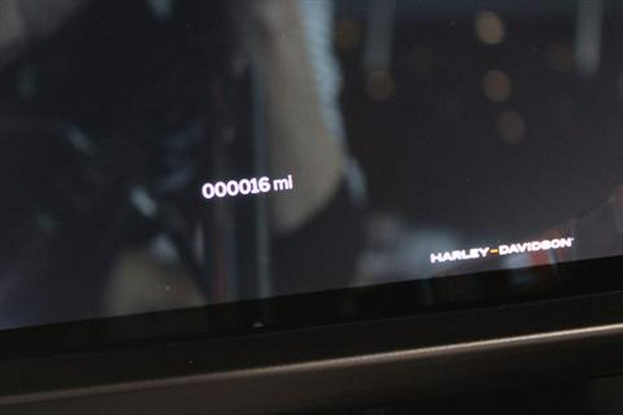 2025 Harley-Davidson Road Glide®