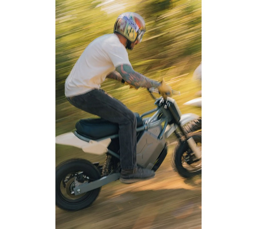 2026 LiveWire S4 Honcho Trail