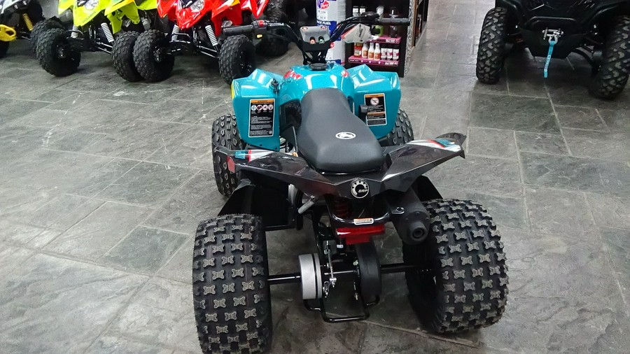 2026 Can-Am Renegade 110 EFI