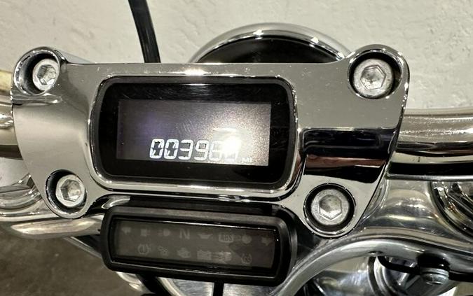 Harley-Davidson® Softail™ Standard 2024 FXST 049772A VIVID BLACK