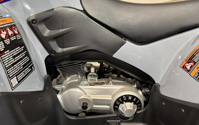 2026 Polaris® Phoenix 200