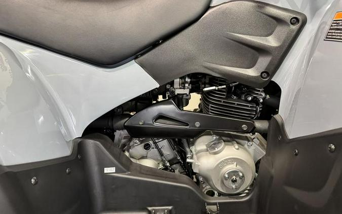 2026 Polaris® Phoenix 200