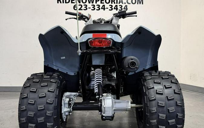 2026 Polaris® Phoenix 200