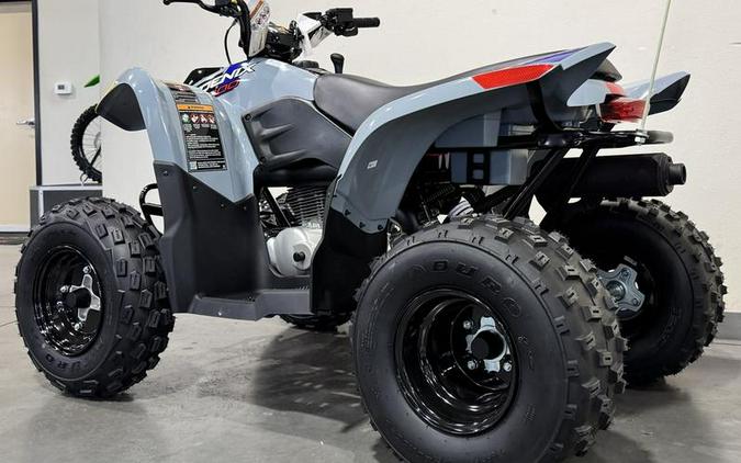 2026 Polaris® Phoenix 200