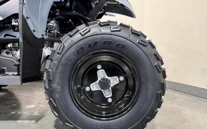 2026 Polaris® Phoenix 200