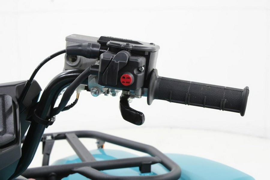 2027 Yamaha GRIZZLY EPS