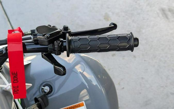 2025 Polaris® Sportsman 110