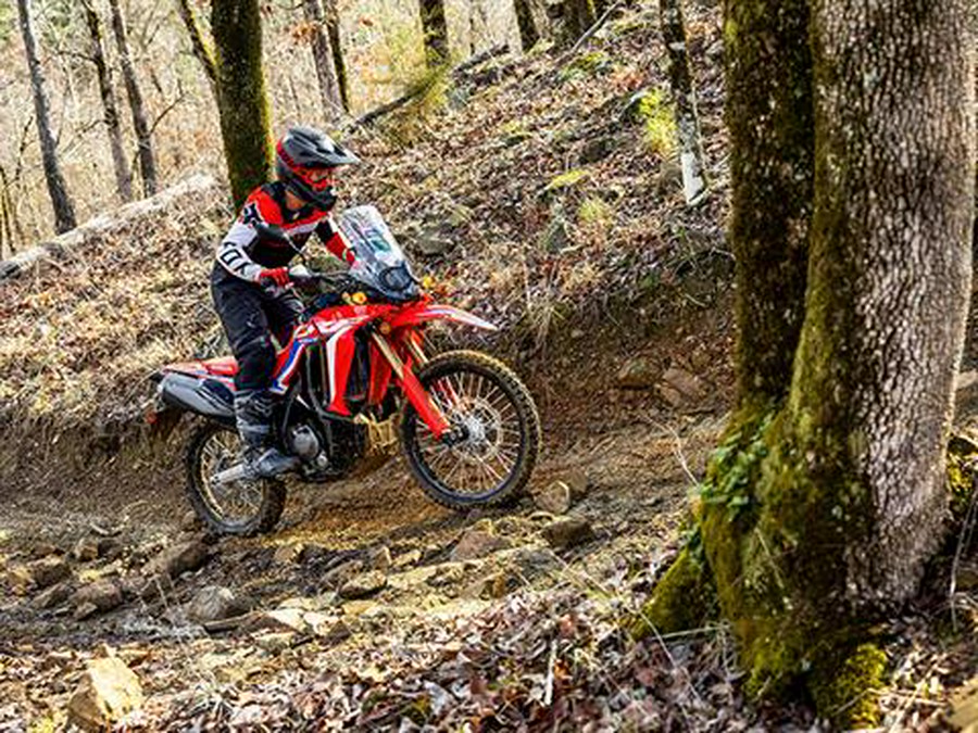 2024 Honda CRF300L Rally