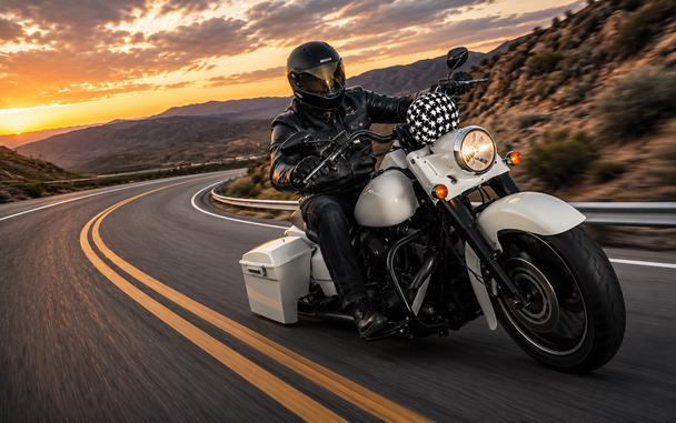 2003 HARLEY-DAVIDSON FLHRCI - C708311