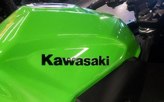 2026 Kawasaki Ninja® 500