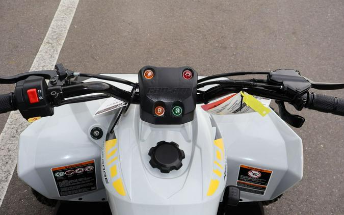 2024 Can-Am® Renegade 110 EFI