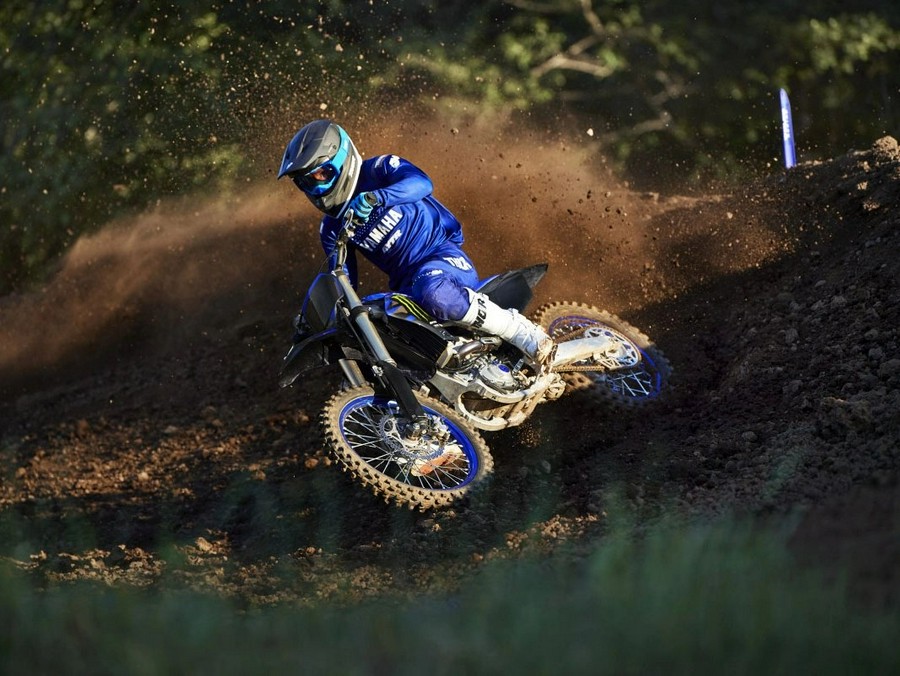 2025 Yamaha YZ250F Monster Energy Edition