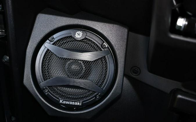 2025 Kawasaki Teryx4 S SE