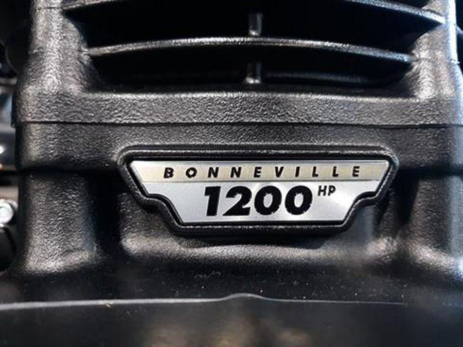 2023 Triumph SPEED TWIN BREITLING