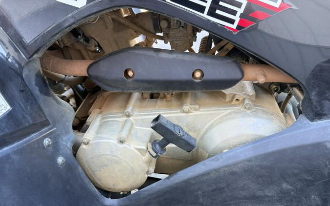 2023 Kawasaki Brute Force 300