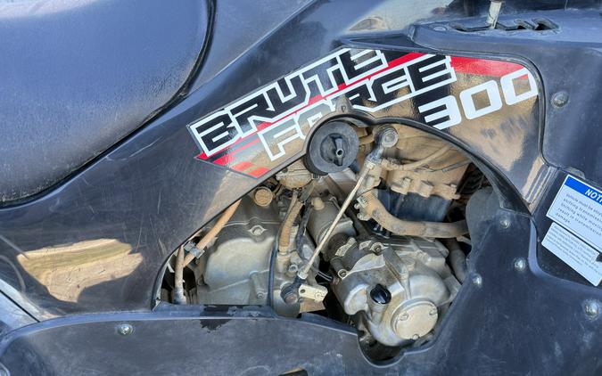 2023 Kawasaki Brute Force 300