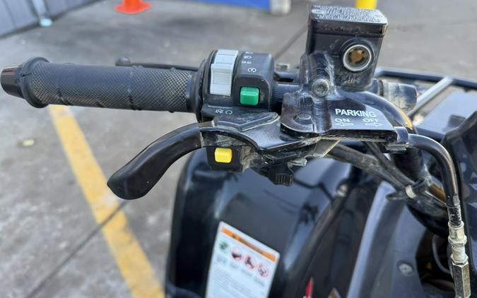 2023 Kawasaki Brute Force 300