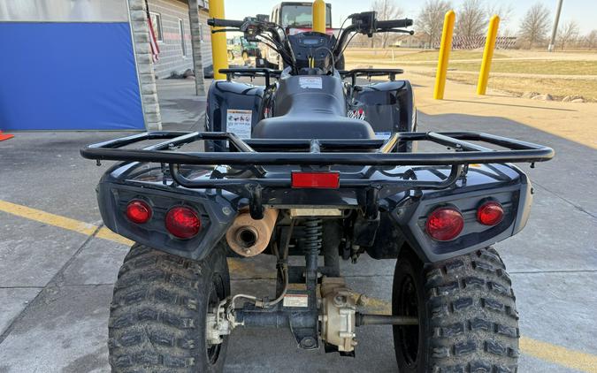 2023 Kawasaki Brute Force 300