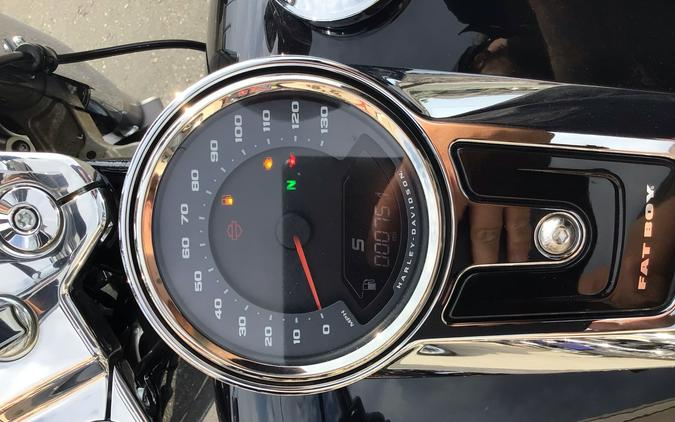 2025 HARLEY-DAVIDSON FAT BOY FLFB