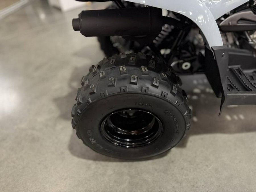 2025 Polaris® Phoenix 200