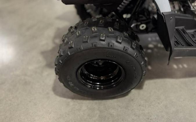 2025 Polaris® Phoenix 200