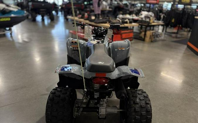 2025 Polaris® Phoenix 200